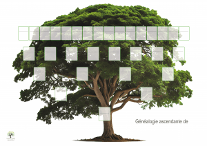 arbre 5 generations modele - La généabox noel